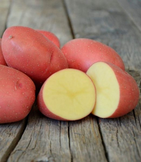 Sadbové zemiaky 'Red Scarlett' 1kg vanička